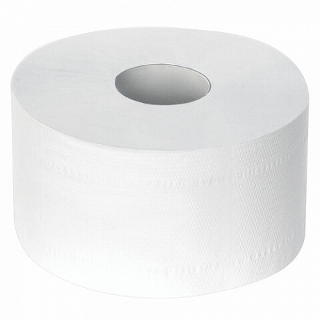 Туалетная бумага пром рулон Белый цвет 2сл 170м 1/12 в интернет-магазине Кристалл Юг